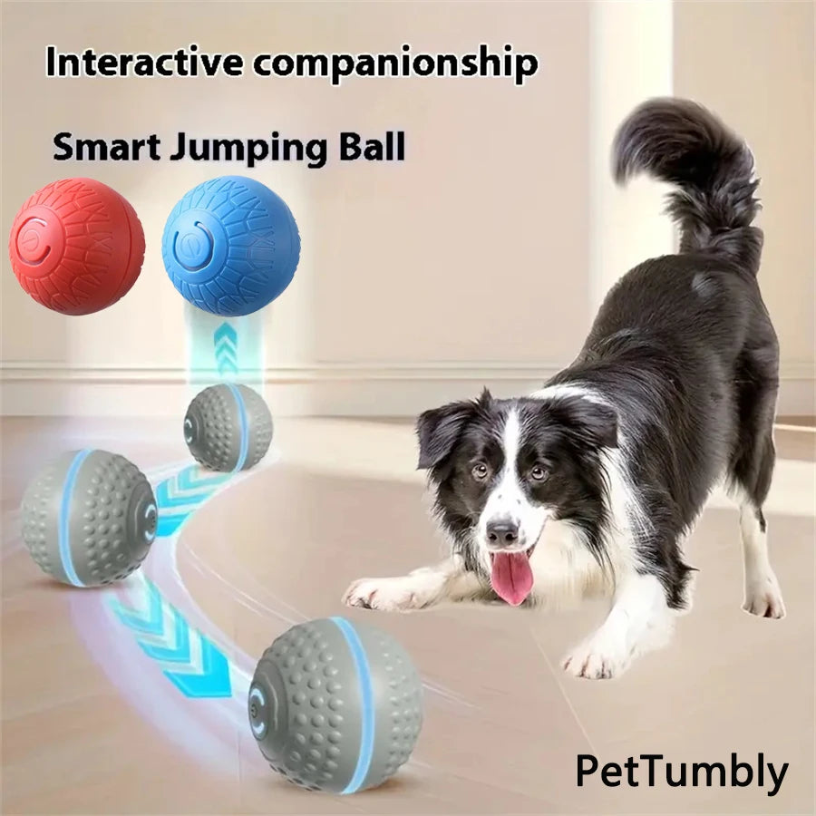 Pelota Interactiva para Perros