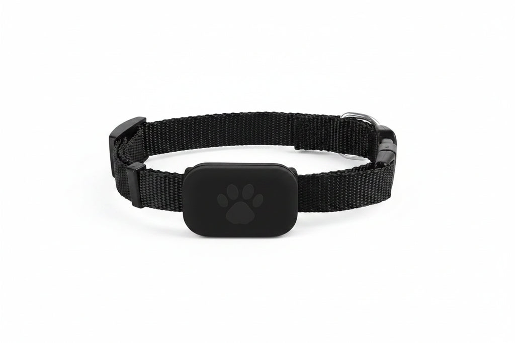 Collar Rastreador GPS para Mascotas