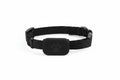 Collar Rastreador GPS para Mascotas
