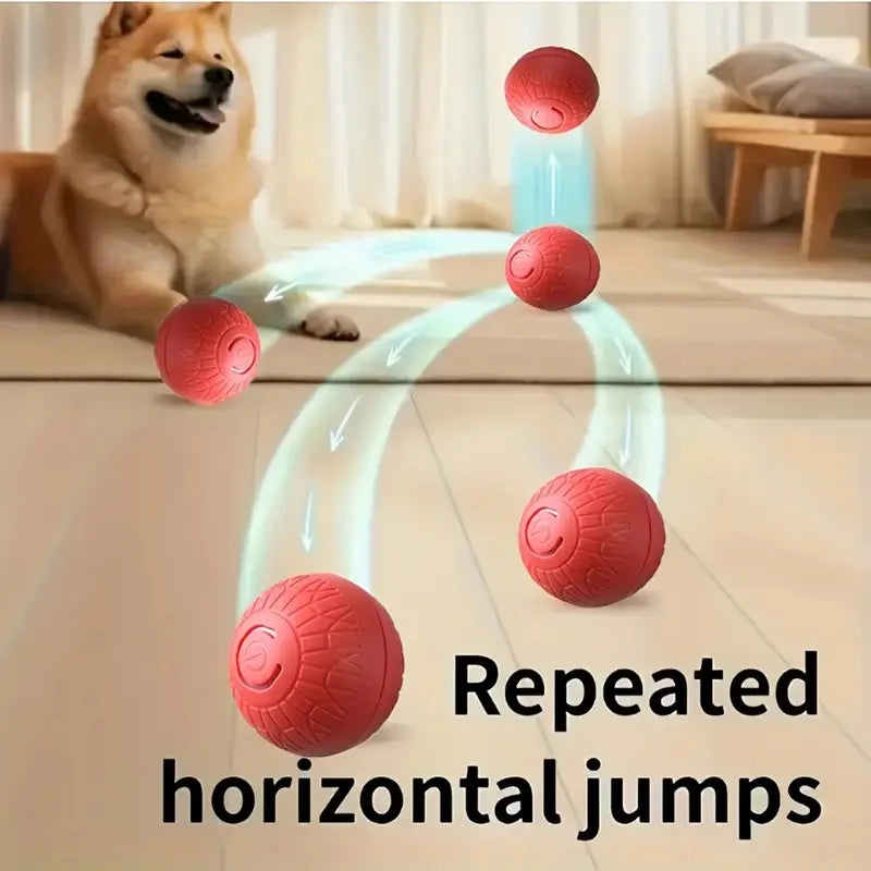 Pelota Interactiva para Perros