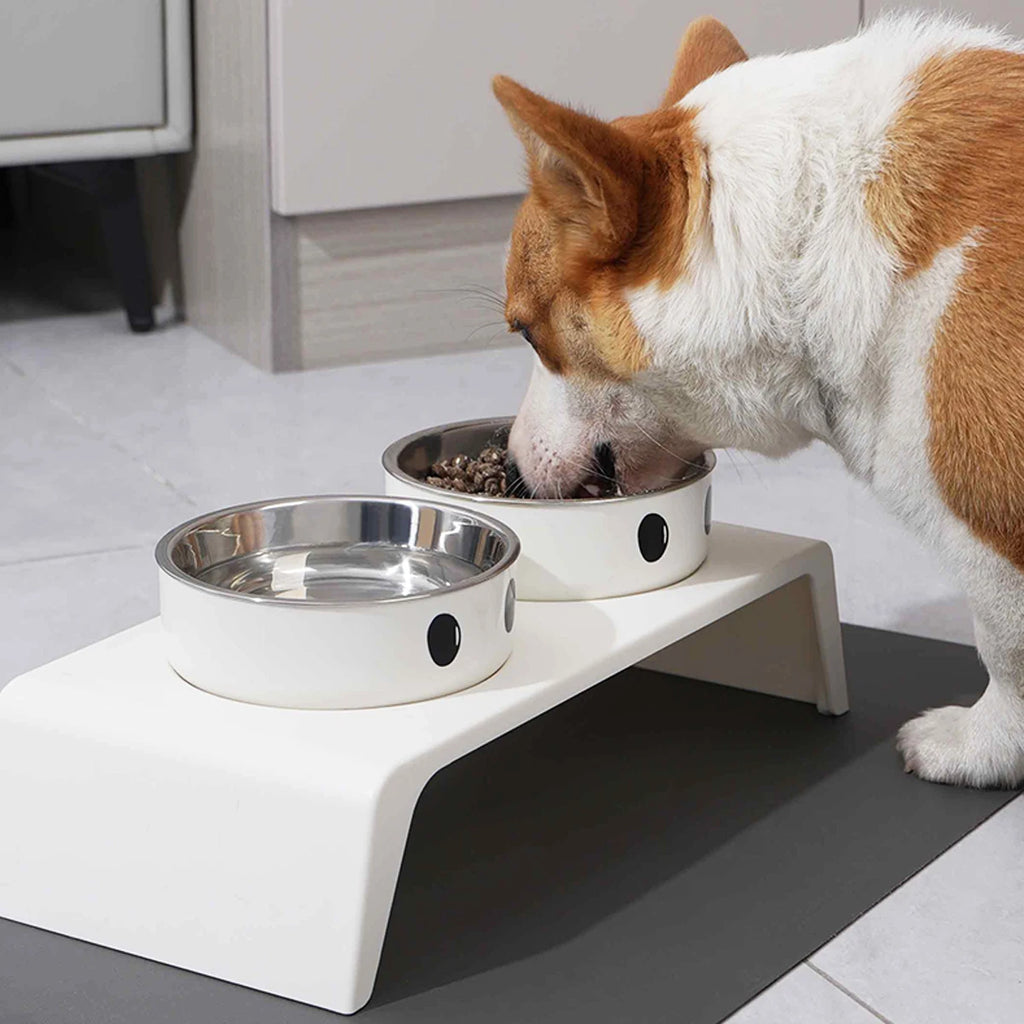 Comedero Elevado para Mascotas