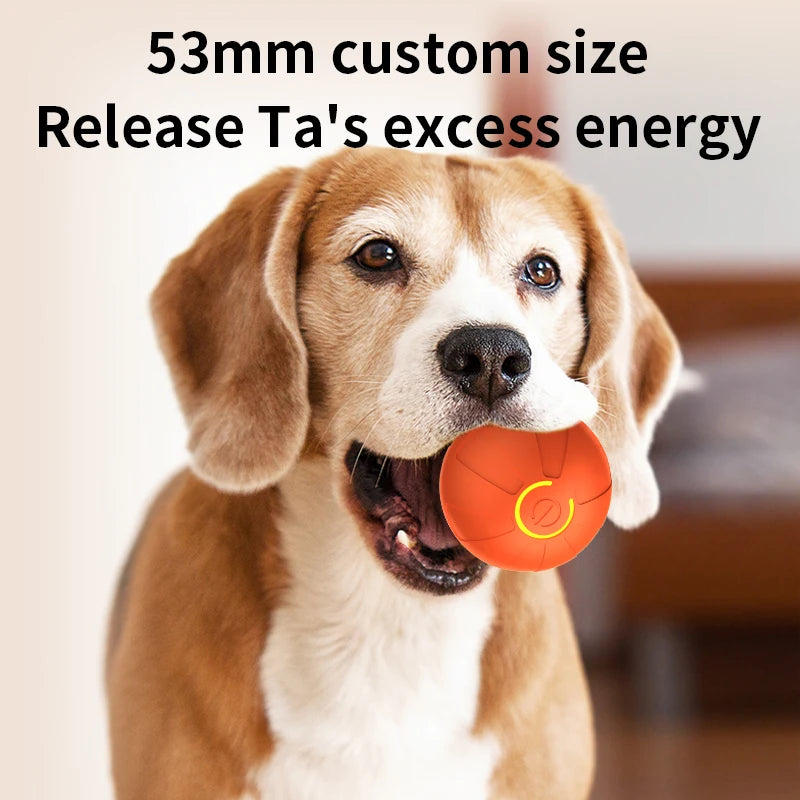 Pelota Interactiva para Perros